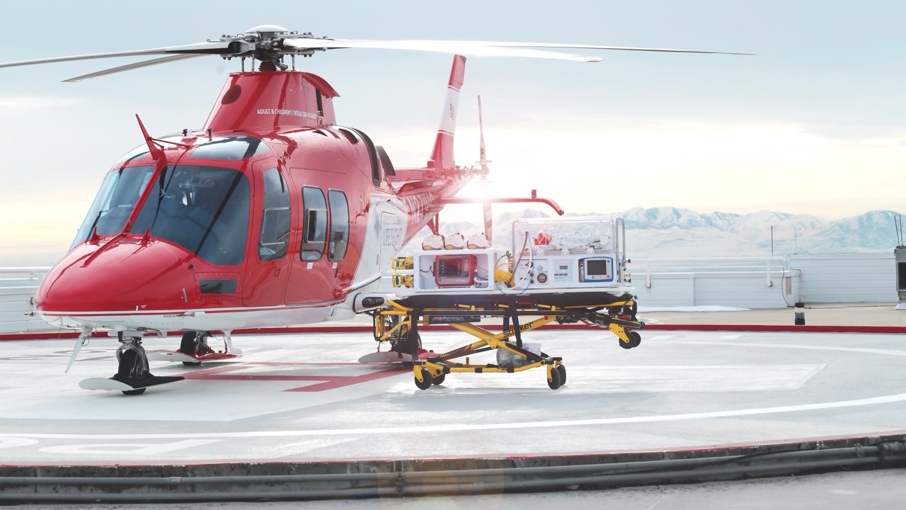 Hamilton T1 Ventilation